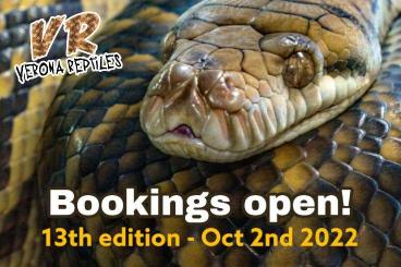 Sonstiges kaufen und verkaufen Foto: Verona Reptiles Oct 2nd 2022 BOOKINGS OPEN!