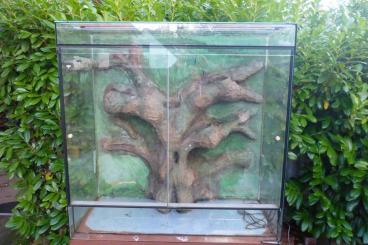 Enclosures kaufen und verkaufen Photo: Schönes Glasterrarium mit Rückwand "Baum"