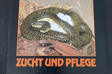 Schlangen kaufen und verkaufen Foto: Bede Riesenschlangen Zucht & Pflege