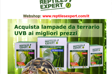 Supplies kaufen und verkaufen Photo: Lampade UVB al miglior prezzo da Verona Reptiles la domenica