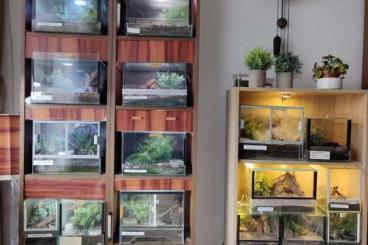Enclosures kaufen und verkaufen Photo: Komplettanlage für Vogelspinnen 