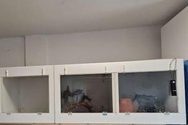 Schlangen kaufen und verkaufen Foto: 4 Forex Kunststoff Terrarien weiss mit Technik Schlangen kaufen und verkaufen Foto: 4 Forex Kunststoff Terrarien weiss mit Technik