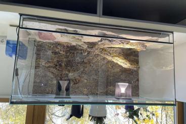 Enclosures kaufen und verkaufen Photo: Terrarium 120x60cm mit viel Zubehör als Komplettset!!