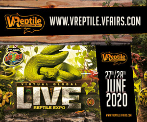 First International VIRTUAL reptile expo