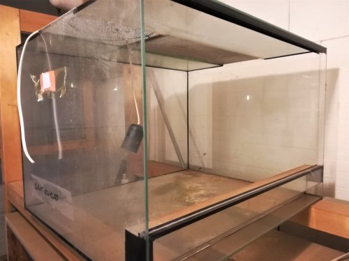 Terrarien Kaufen Und Verkaufen Auf Terraristik Com - 