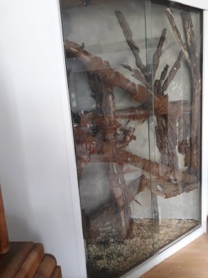 Zubehör kaufen und verkaufen Foto: An Selbstabholer zu verschenken: 2 große Glas-Schiebetüren Zubehör kaufen und verkaufen Foto: An Selbstabholer zu verschenken: 2 große Glas-Schiebetüren
