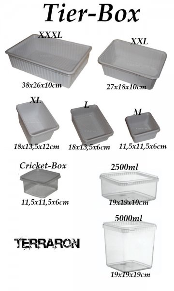 Zubehör kaufen und verkaufen Foto: Dosen/Boxen (auch gelocht)Heimchendose ab 0,17€Tier-Box Zubehör kaufen und verkaufen Foto: Dosen/Boxen (auch gelocht)Heimchendose ab 0,17€Tier-Box