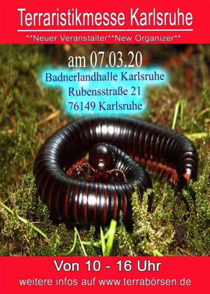 Futtertiere kaufen und verkaufen Foto: Exklusives Vorbestellerangebot für die Börse Karlsruhe am