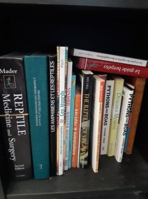 Literatur kaufen und verkaufen Foto: For sale, All books for 200e (delivery Literatur kaufen und verkaufen Foto: For sale, All books for 200e (delivery