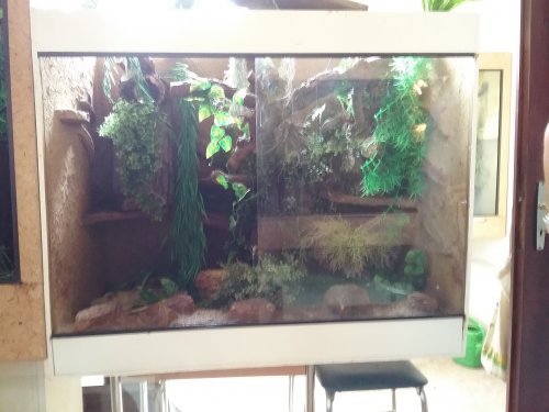 Terrarien kaufen und verkaufen Foto: Schönes Terrarium (110cm x 90cm x Terrarien kaufen und verkaufen Foto: Schönes Terrarium (110cm x 90cm x