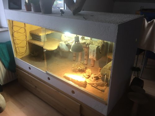Terrarien kaufen und verkaufen Foto: Terrarium Eigenbau 1,48 x 0,55 x 0,76, Terrarien kaufen und verkaufen Foto: Terrarium Eigenbau 1,48 x 0,55 x 0,76,