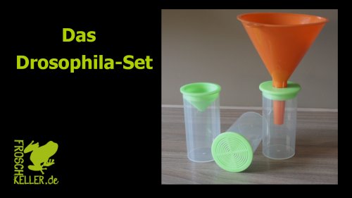Zubehör kaufen und verkaufen Foto: Drosophila-Set für die einfache Verfütterung von Drosopohila.Enthält