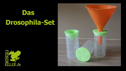 Zubehör kaufen und verkaufen Foto: Drosophila-Set für die einfache Verfütterung von Drosopohila.Enthält Zubehör kaufen und verkaufen Foto: Drosophila-Set für die einfache Verfütterung von Drosopohila.Enthält