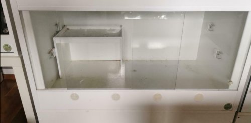 Terrarien kaufen und verkaufen Foto: Lanzo Herp 100x60x60mit Led/Heatpanel/Thermostat/Liegestangen1Jahr alt. Terrarien kaufen und verkaufen Foto: Lanzo Herp 100x60x60mit Led/Heatpanel/Thermostat/Liegestangen1Jahr alt.