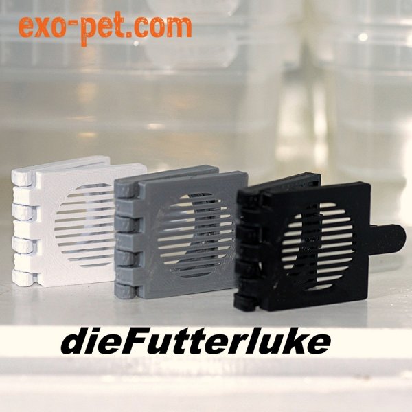 Spinnen und Skorpione kaufen und verkaufen Foto: Neu auf exo-pet.de: Spinnen und Skorpione kaufen und verkaufen Foto: Neu auf exo-pet.de: