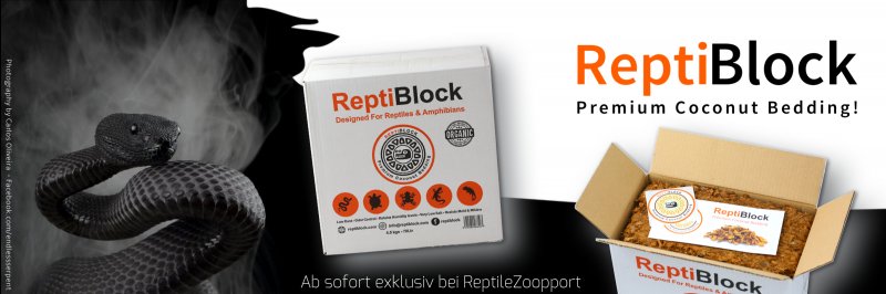 Zubehör kaufen und verkaufen Foto: ReptiBlock - Premium Kokos Einstreu! Ab sofort
