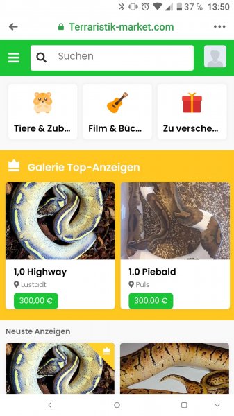 Schildkröten  kaufen und verkaufen Foto: For free/KostenlosAls App und auch als Desktop