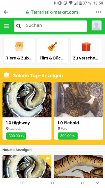 Schildkröten kaufen und verkaufen Foto: For free/KostenlosAls App und auch als Desktop Schildkröten kaufen und verkaufen Foto: For free/KostenlosAls App und auch als Desktop