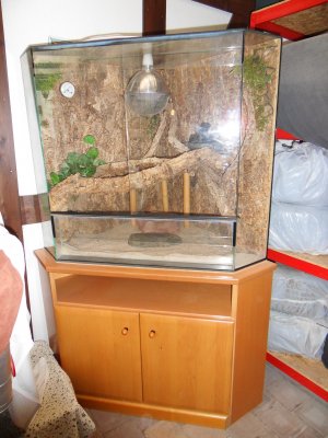 Terrarien kaufen und verkaufen Foto: Großes Eckterrarium mit einer Schenkellänge von 75 Terrarien kaufen und verkaufen Foto: Großes Eckterrarium mit einer Schenkellänge von 75