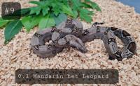 Bild 13/15
