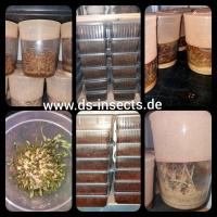 Bild 2/5