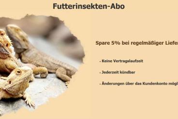 Feeder animals kaufen und verkaufen Photo: Futterinsekten Abo - Spare dauerhaft 5% 