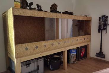 Enclosures kaufen und verkaufen Photo: Xxl OSB Terrarium vom Schreiner mit Zubehör 