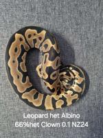 Bild 7/7