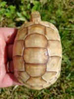 Bild 7/7