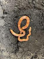 Bild 9/9