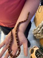 Bild 7/9