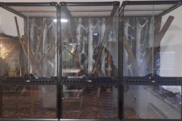 Enclosures kaufen und verkaufen Photo: 3x 30x30x60 Exo Terra Terrarium