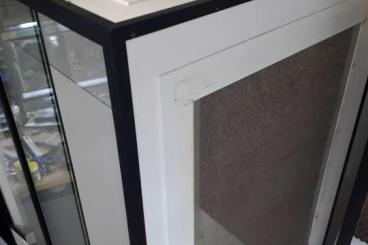 Enclosures kaufen und verkaufen Photo: Reptilien Terrarium Forex 120x50x60 oder 100x50x60