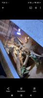 Bild 7/10