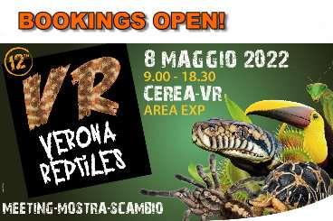 Sonstiges kaufen und verkaufen Foto: Verona Reptiles show May 8th 2022 - BOOKINGS OPEN!
