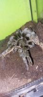 Bild 8/8