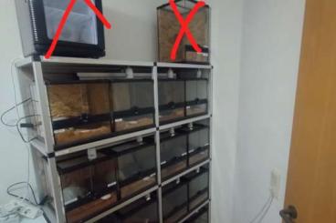 Enclosures kaufen und verkaufen Photo: Exo Terra Terrarien mit Regal 