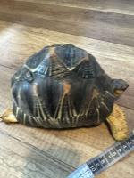 Bild 9/16