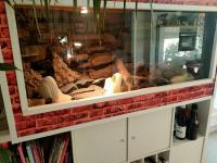 Bild 5/6