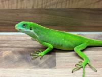 Bild 9/9