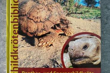 Literatur kaufen und verkaufen Foto: Pantherschildkröte und Spornschildkröte Gebundene Ausgabe