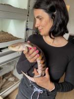 Bild 6/7