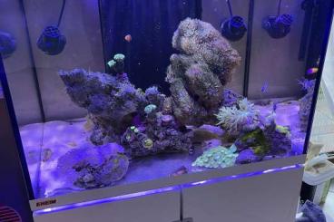 Aquarien kaufen und verkaufen Foto: Eheim Incpiria Marine 200 komplett Set 