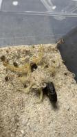 Bild 9/9