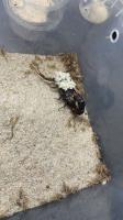 Bild 8/9