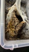 Bild 6/8