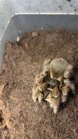 Bild 7/7