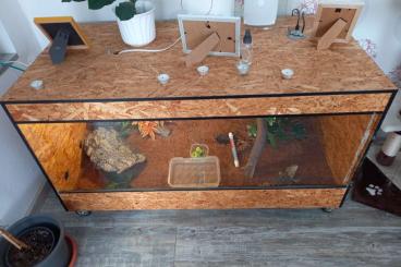 Terrarien kaufen und verkaufen Foto: Terrarium für Bartagamen..