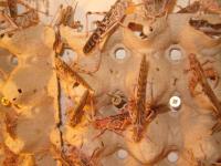 Bild 7/9