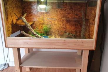 Terrarien kaufen und verkaufen Foto: Großes OSB Terrarium inkl. komplettem Zubehör 280€